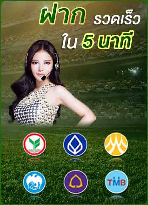 สมัคร TIGER711