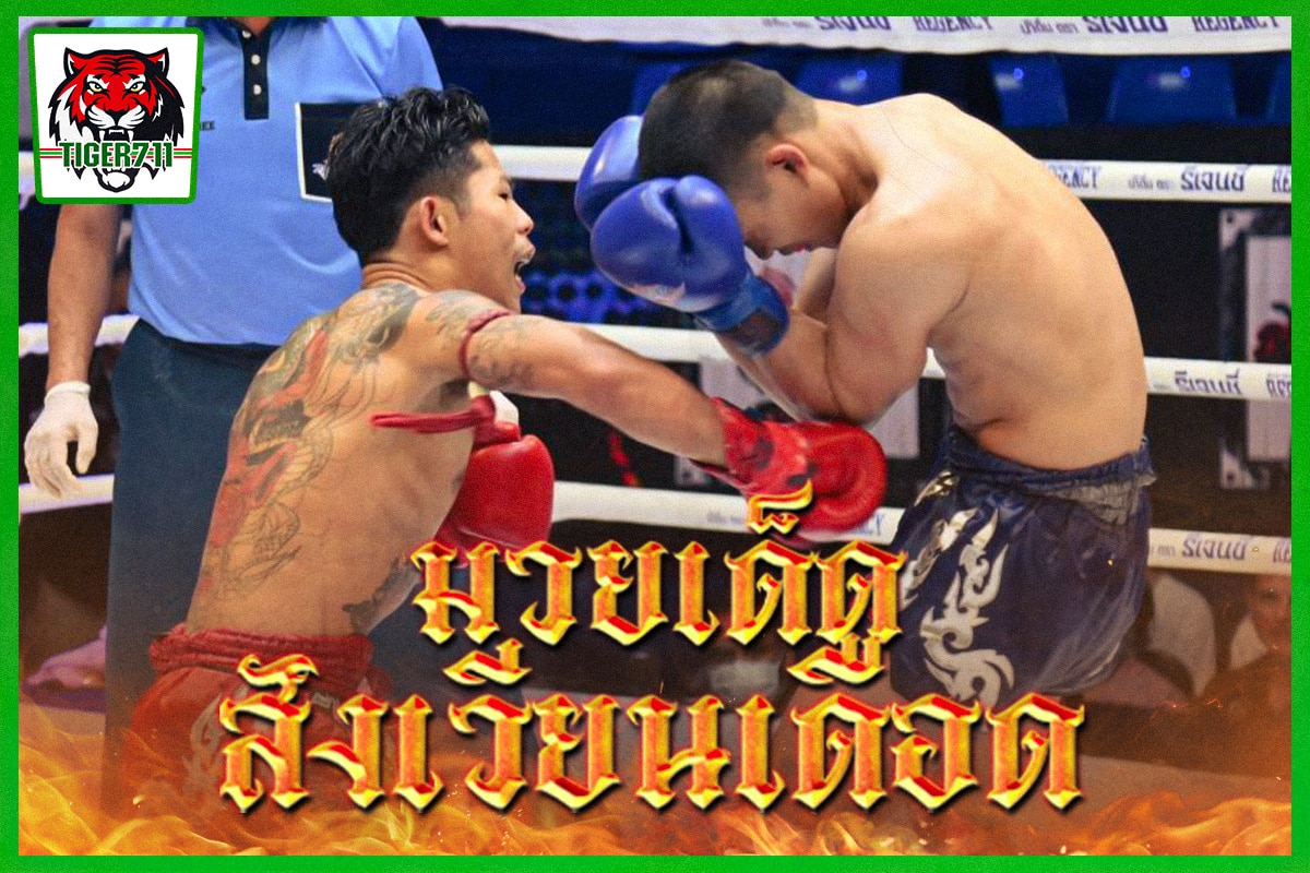 มวยเด็ดสังเวียนเดือด
